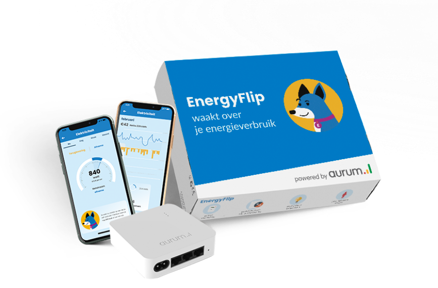 EnergyFlip